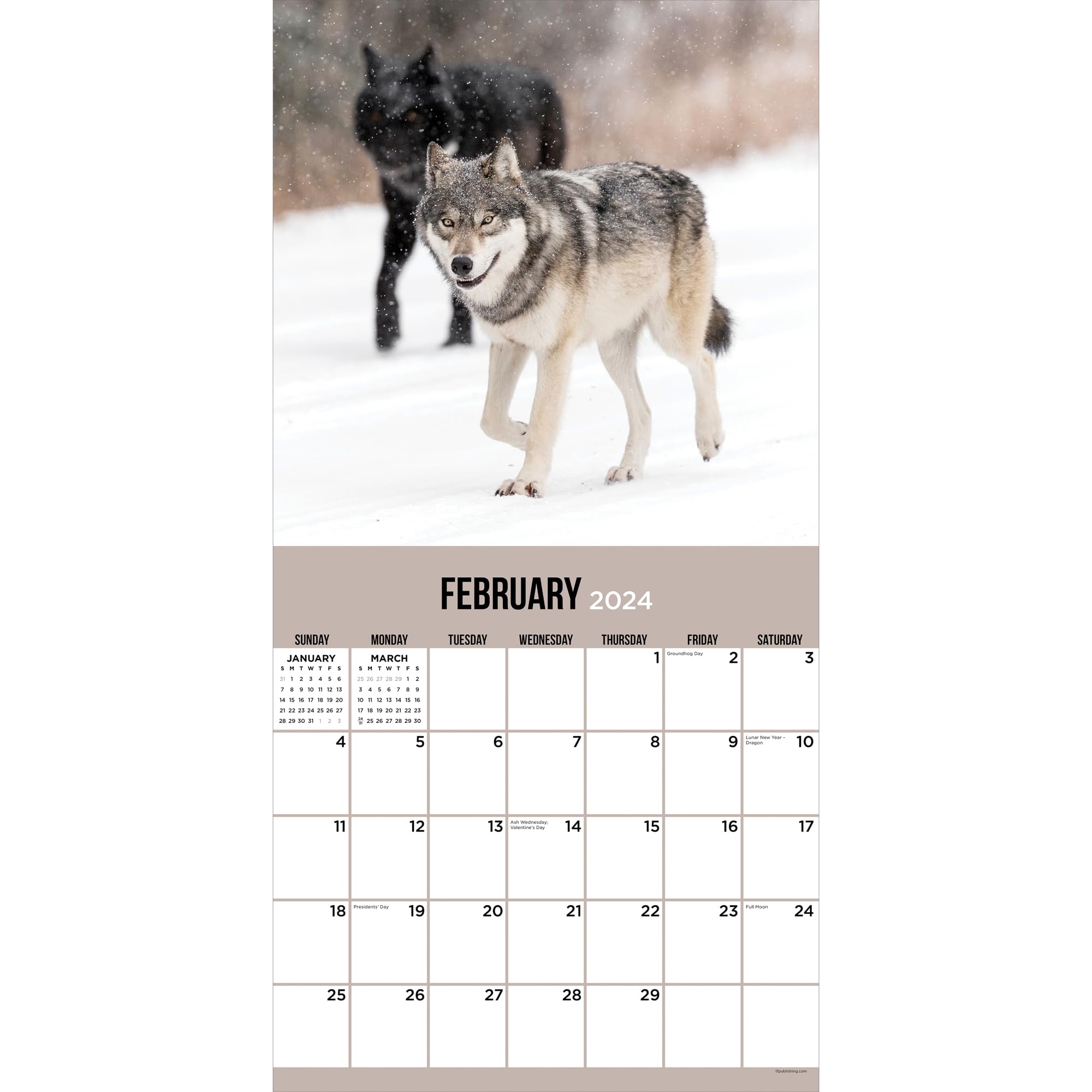 amazon-com-tf-publishing-2024-wolves-wall-calendar-large-grids-for-appointments-and-scheduling-vertical-monthly-wall-calendar-2024-home-and-office-organization-premium-gloss-paper-12-x12-office-products