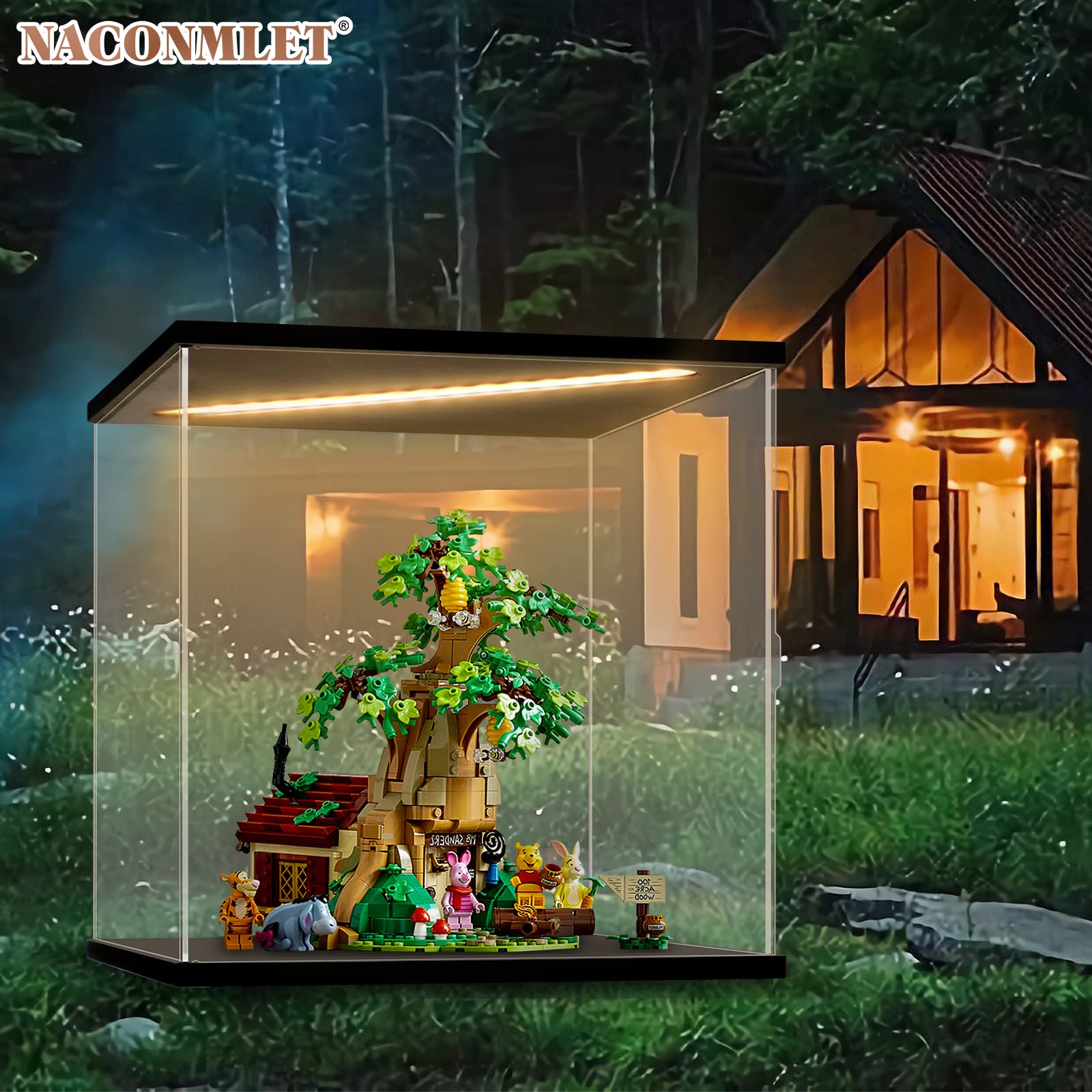 Vetrina in Acrilico Trasparente con Luce a Led,Vetrina Espositiva per Modellismo,Display Case Box per il Collezionismo di Action Figure e Oggetti da Collezione(30x25x30cm)