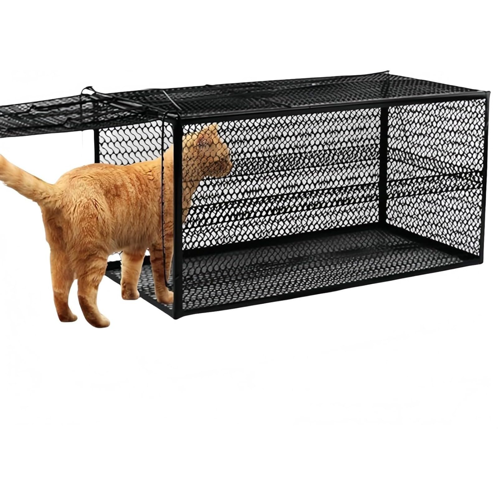 Amazon | SSZY 猫捕獲機 イタチ 罠 猫 捕獲イタチ捕獲器 イタチ 猫罠