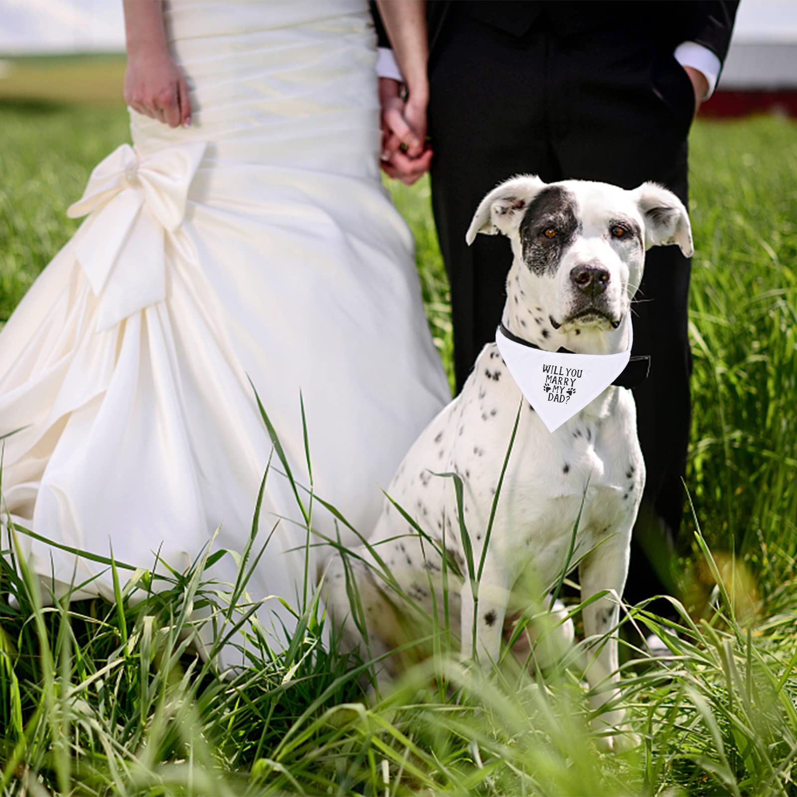 Engagement Gift, Will You Marry Daddy Dog Bandana & She Said Yes Dog