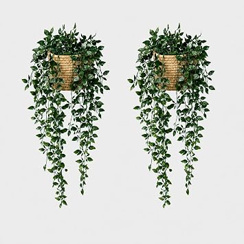 2PCS Artificial Hanging Plants with Woven Baskets, 90cm/35in Fake Mandala Trailing Greenery Vines with Hooks, Faux Hanging Plant Wall Decor for Bedroom Bathroom Kitchen Shelf Window Living Room