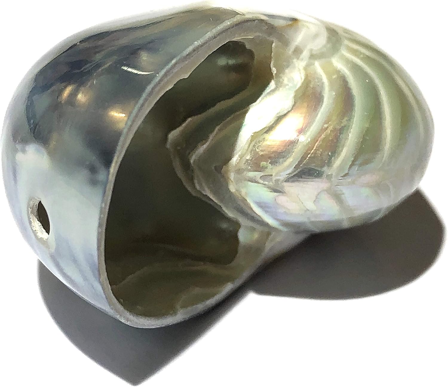 ABCGEMS Metallic-Silver Mermaid-Nautilus Pendant with Iridescent Flash (Thick Nacre, High Luster, Bluish & Silver Stripped Matrix) Jewelry Making Keychain Charms Ornaments Top-Drilled 35mm (1 Pcs)