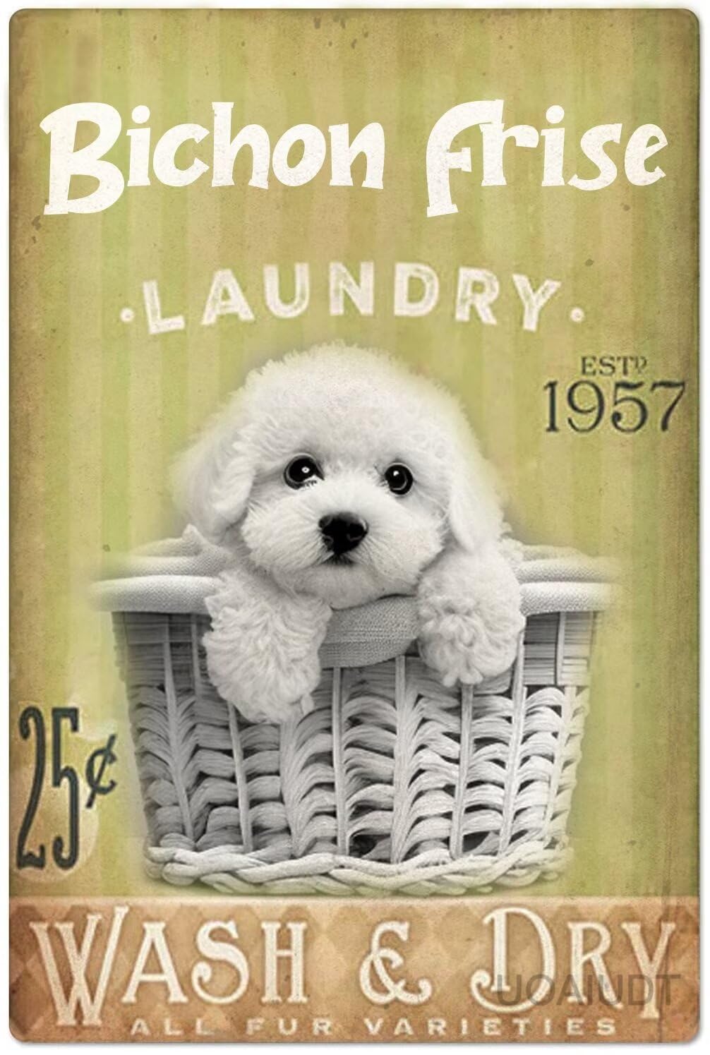 Anceky Laundry Room Diamond Art Kits for Adults,5D Bichon Frise Diamond Art for Beginners,Dog Laundry DIY Diamond Art Kits, Full Round Drill Diamond Paintings for Adults Home Decor 12X16 Inch