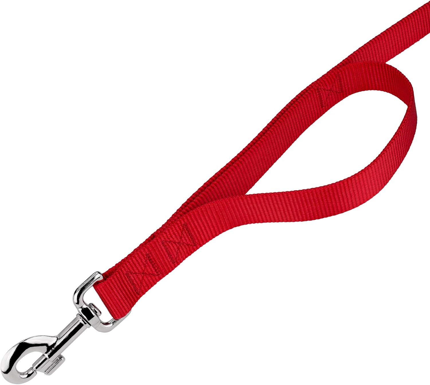Country Brook Petz - Red Martingale Heavyduty Nylon Dog Collar and Double Handle Leash (1 Inch, Medium)