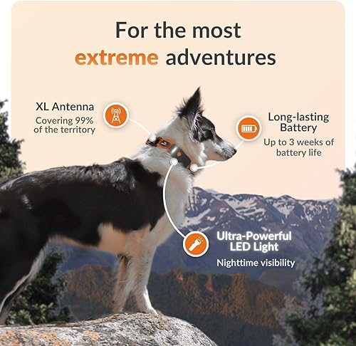 Miniatura 2 de Weenect Dog XT - Nuevo collar GPS para perros  Antena XL  Impermeable  Collar Julius-K9 integrado ultra duradero  Requiere suscripción