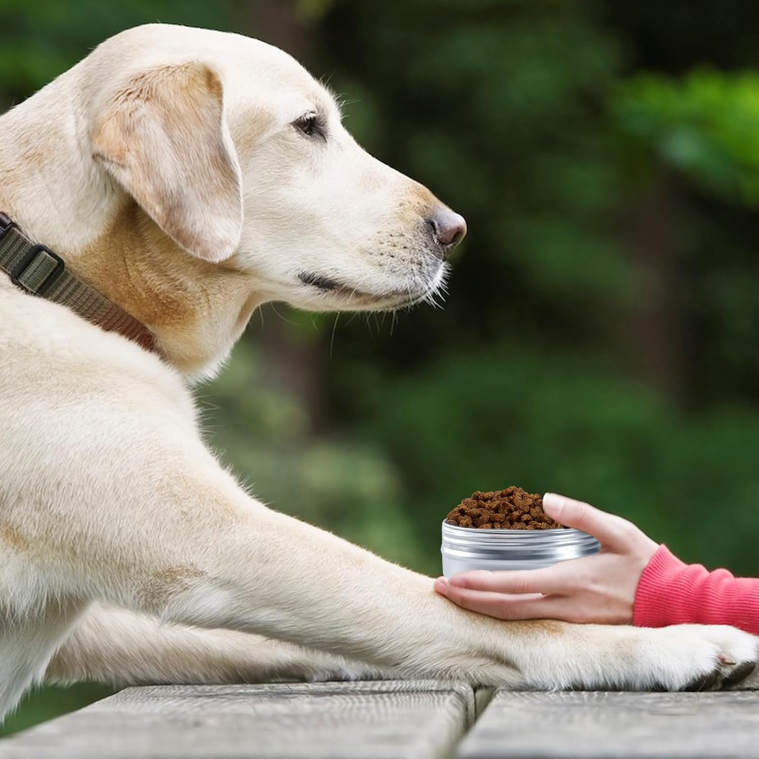 12 Pack Scent Training for Dogs Scent Tins Small Dog Food Container image 4
