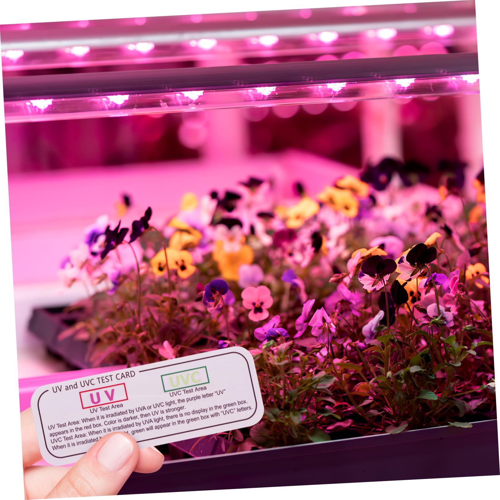 Holibanna 5 pezzi Schede Indicatore Uvc Test UV Strisce Compatte e Portatili per Monitoraggio e Intensità Luce UV