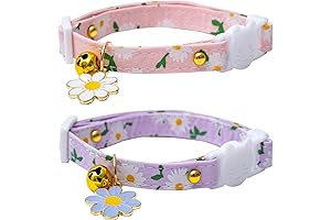 Cute Kitten Breakaway Cat Collars with Bell