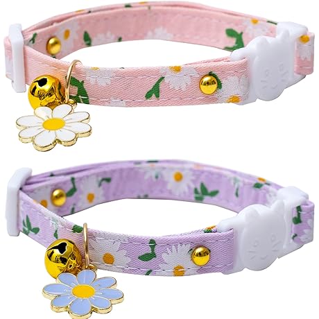 Cute Kitten Breakaway Cat Collars with Bell