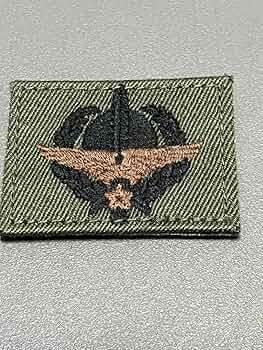 超精密レプリカ 歩兵突撃徽章 VFA-51 第51戦闘攻撃飛行隊 刺繍 ワッペン 両面 ベルクロ パッチ