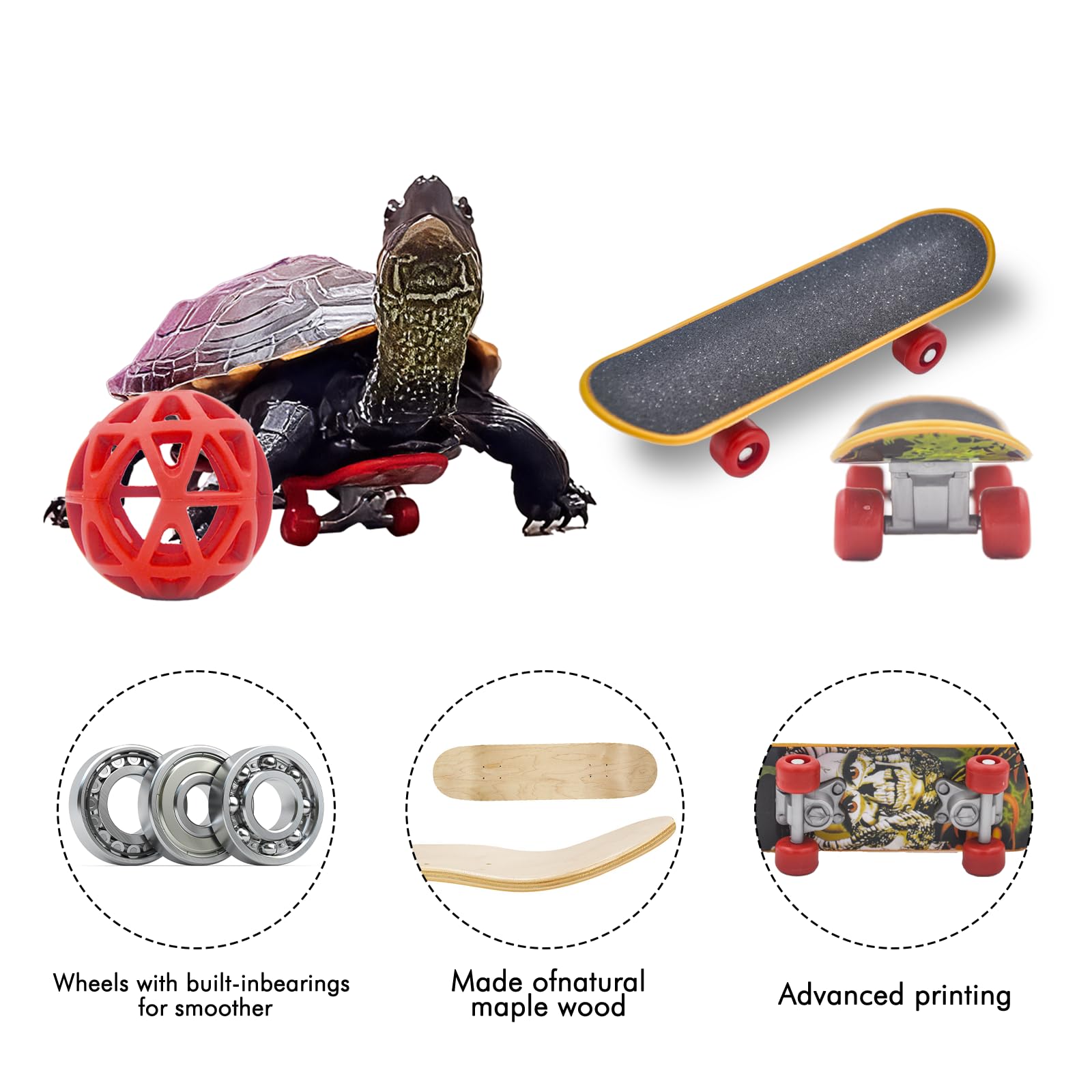 Amazon.co.jp: Doblopup カメ スケートボード リアルタートル用 ミニ