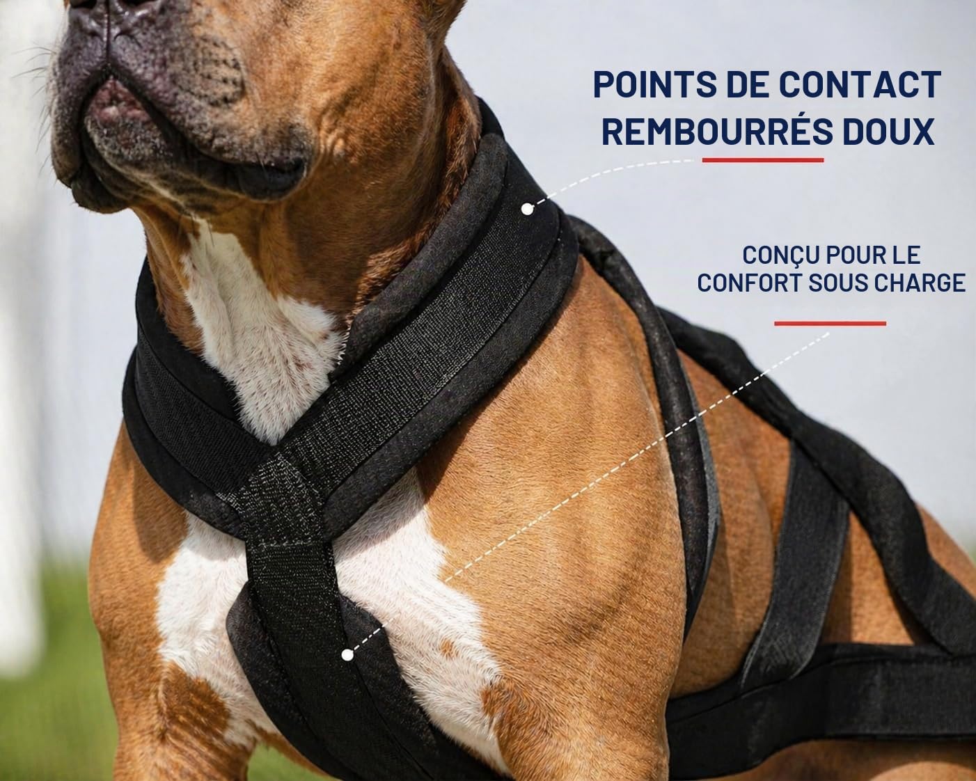 IRSTBL Harnais de traction de poids pour chien avec sifflet à ultrasons - Harnais très résistant en X pour canicross, traîneau et entraînement musculaire - Idéal pour les chiens de travail