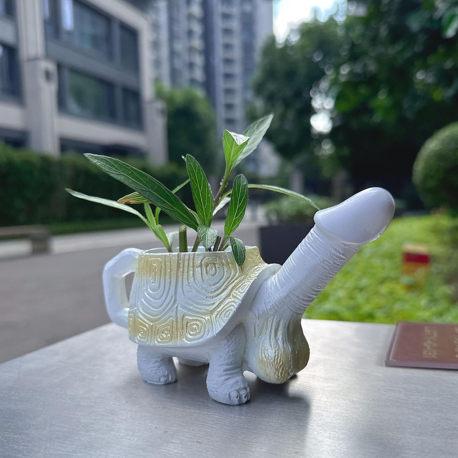 Penis Turtle Planter Turtle Flower Pot Mischievous Joke Gift Indoor and Outdoor Garden Decoration