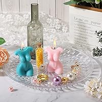 Vista 6 de Fumete 10 platos redondos de plástico transparente de 14 pulgadas, platos de flan de cristal acrílico para fiestas de compromiso, alimentos