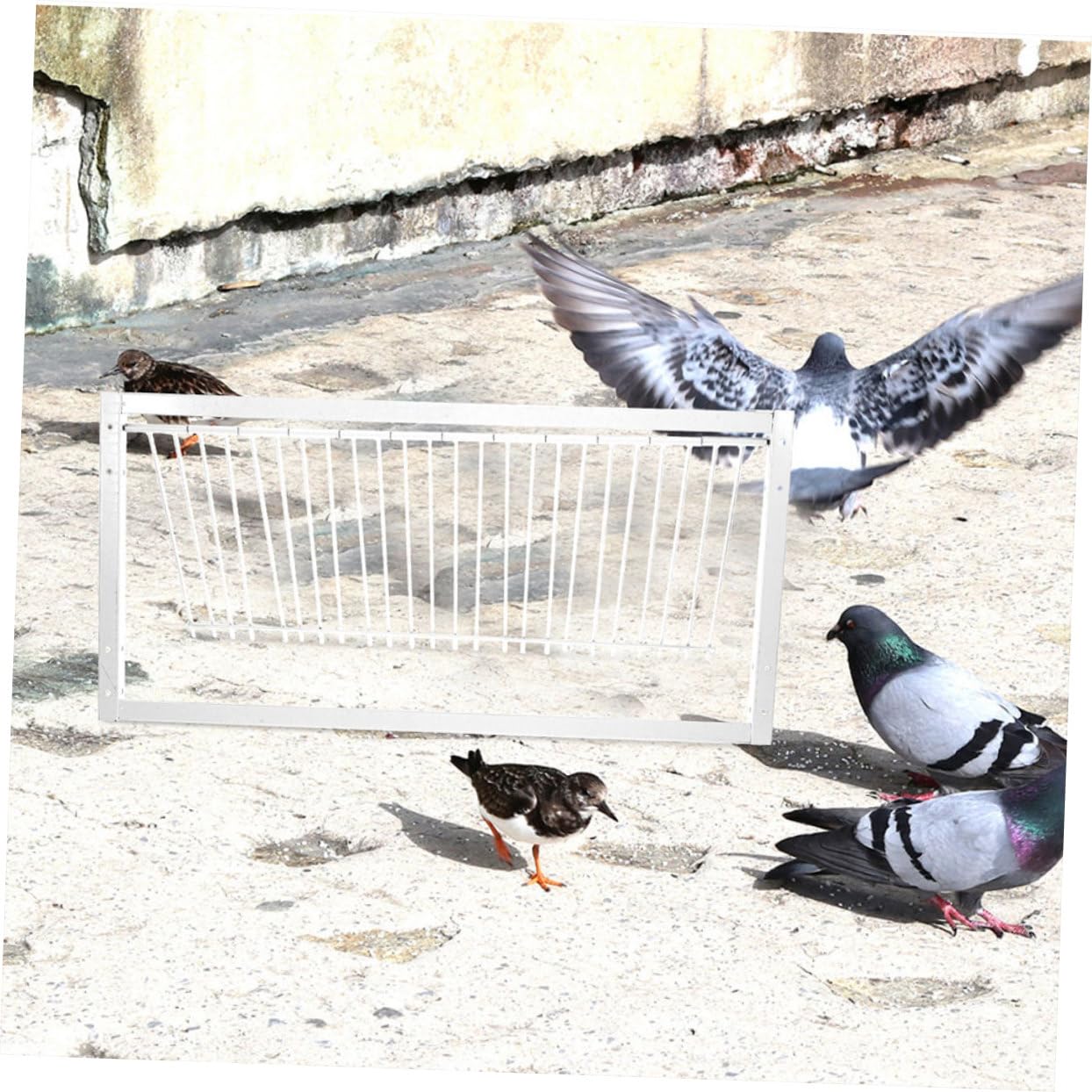 Porte de Cage pour Pigeon 2 Pièces en Fer Argenté Renforcée | Oiseaux, Accessoire de Cage, Usage Course et Entraînement, Sécurité Accrue, Lot 2 Pièces