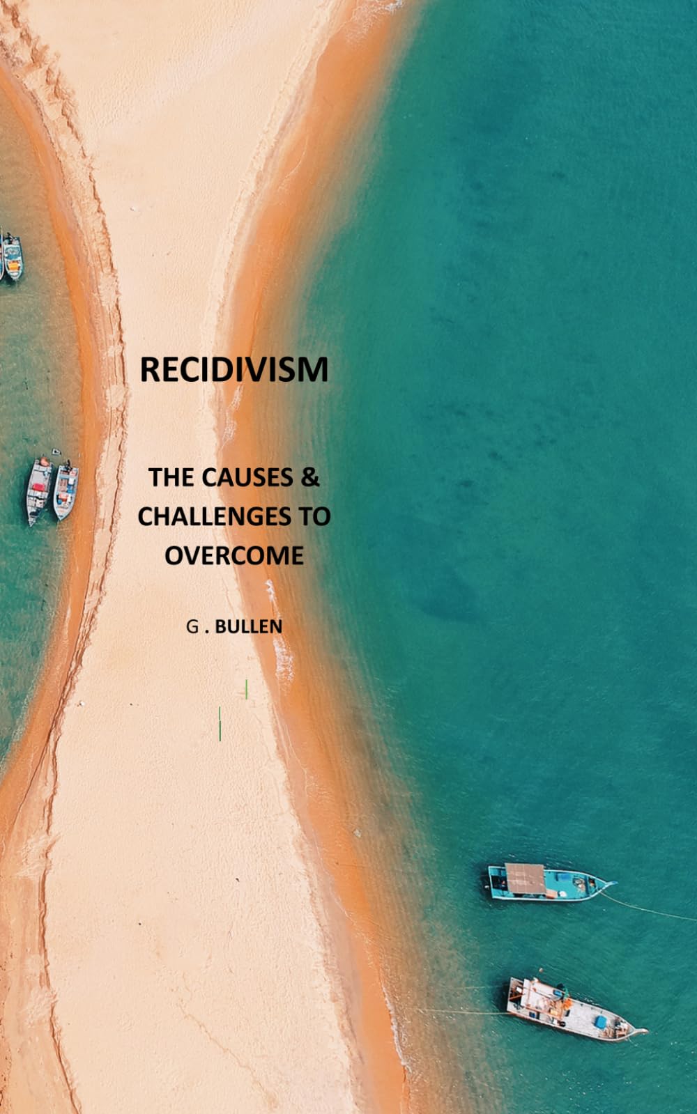 Recidivism: The Causes and Challenges to Overcome