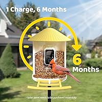 Vista 7 de NETVUE by Birdfy Smart Bird Feeder with Camera, Bird Watching Camera, Auto Capture Video&Motion Detection, 1080P Live Steam, Cardinal Feeder Outdoor