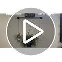Amazon.com: SOFITORG 38.2" Metal Plant Hanging Rod with 3 Chains, Pots ...