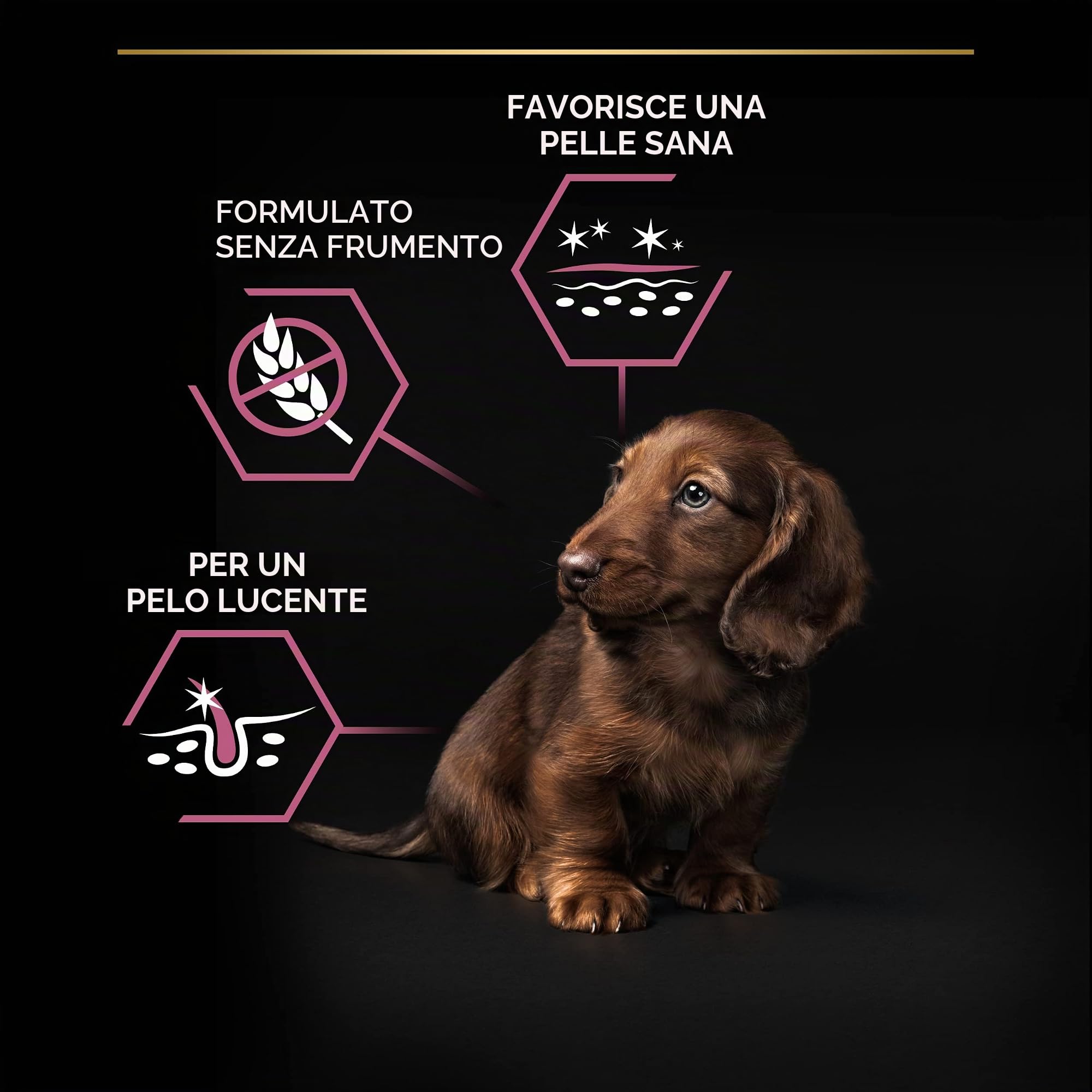 Purina Pro Plan Optiderma Small & Mini Puppy Salmone, 4 Confezioni da 3 kg