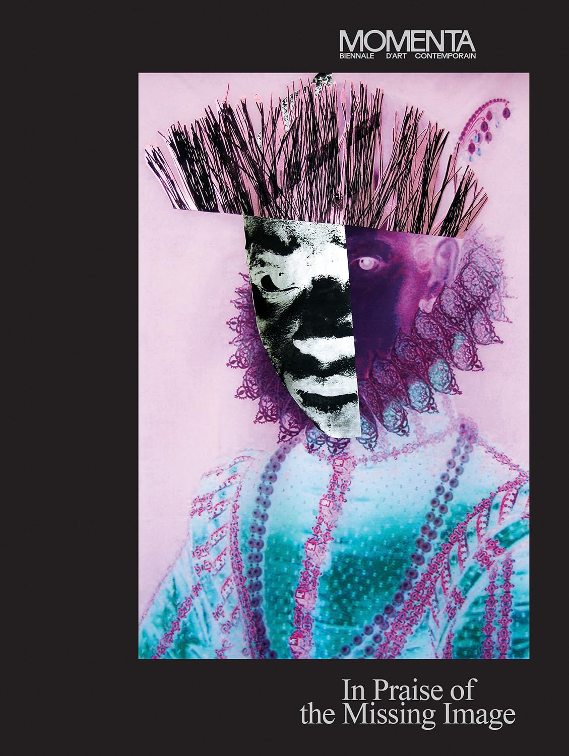 MOMENTA In Praise of the Missing Image biennale catalogue exposition photographie Canada