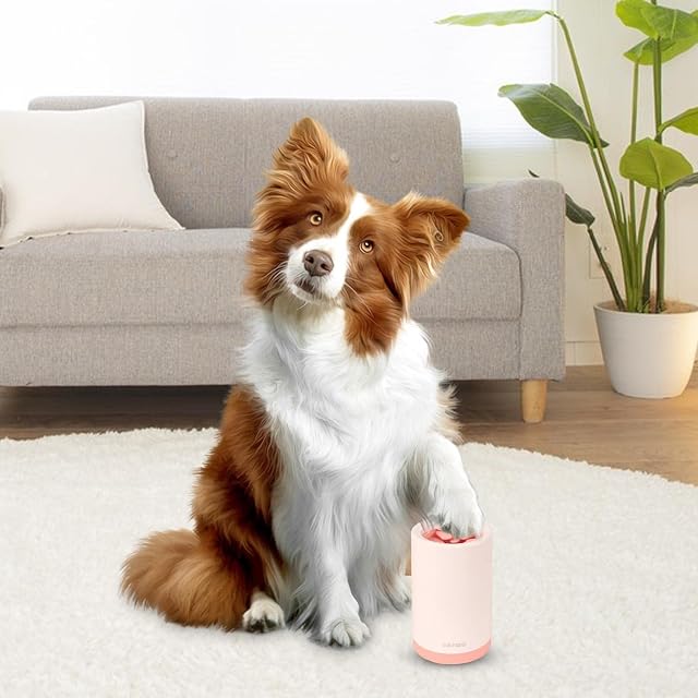 Foto 5 de 8 de GIMOCOOL Limpiador de Patas de Perro - Taza limpiadora de Patas de Perro de Silicona con Cepillo de Limpieza