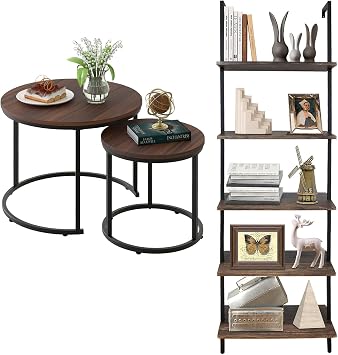 aboxoo Ladder Shelf Open Bookshelf 5-tier Wood Wall-mounted Bookcase Storage Rack Open back Industrial Modern Plant Flower Stand Utility Organizer Bookcase Metal Frame Furniture Office Kitchen Bedroom