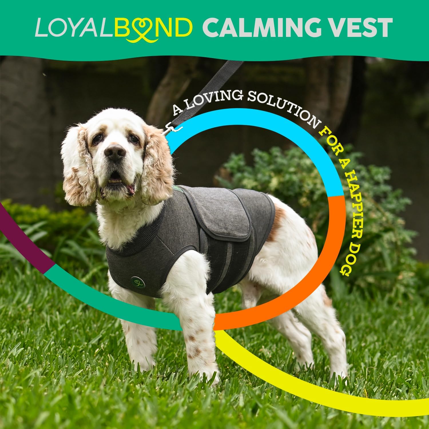 Calming Vest: Anxiety and Stress Relief for Dogs - Dog Anxiety Relief Calming Vest (Medium), Gray