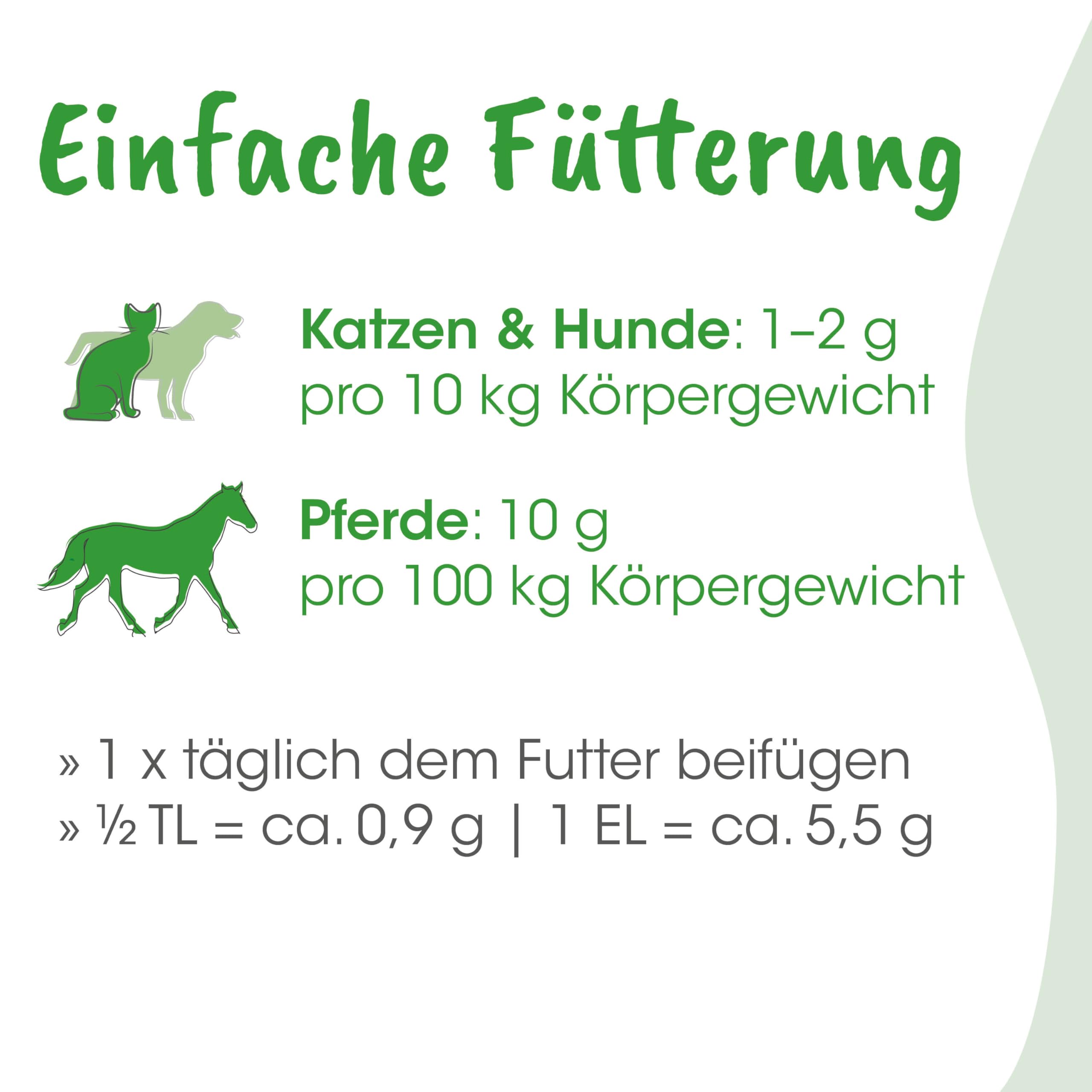 HustaVet Immun für Hunde Katzen Pferde – Natürliche Unterstützung für Atemwege & Immunsystem, 1,6kg