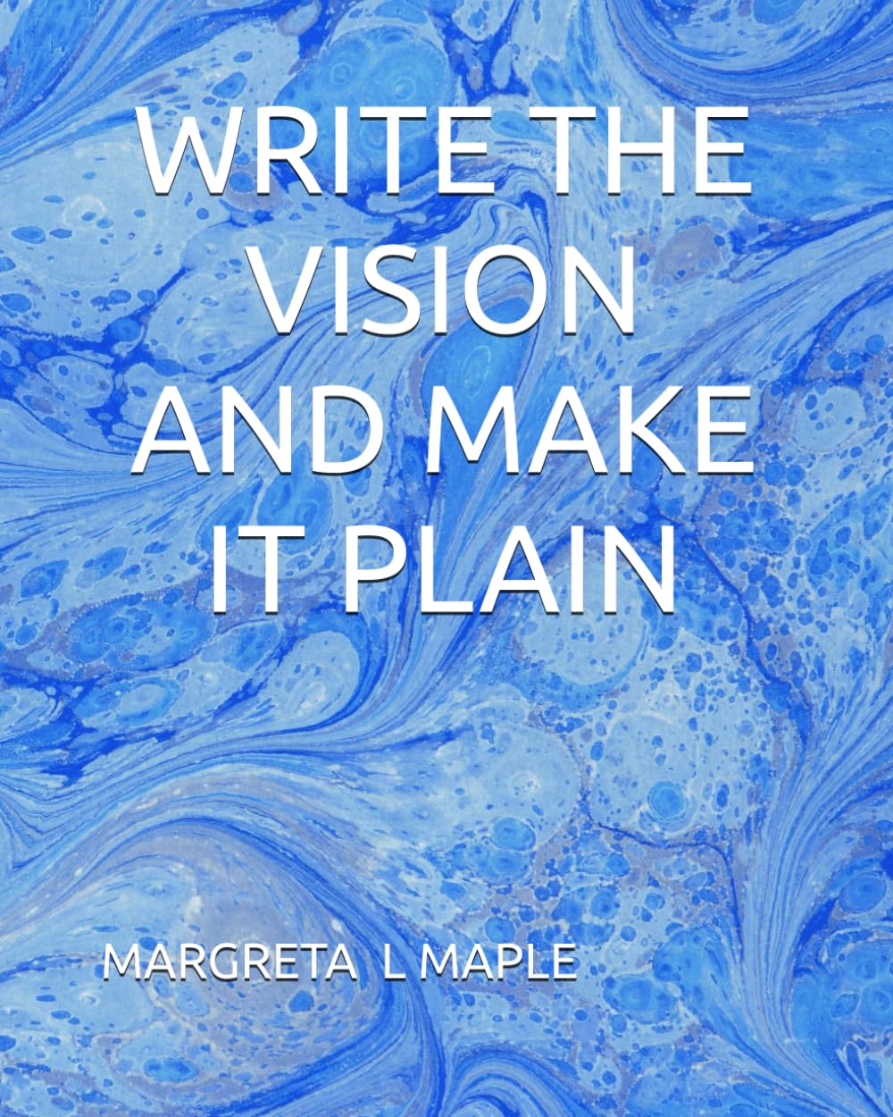 WRITE THE VISION AND MAKE IT PLAIN