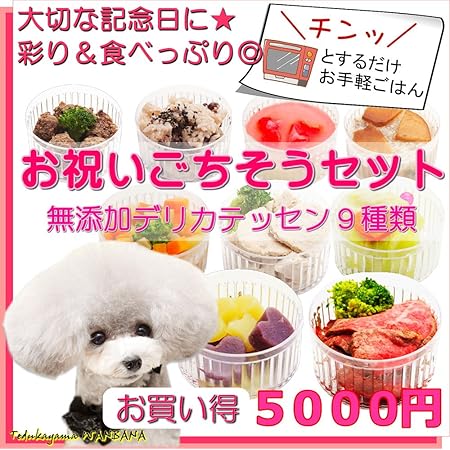 Amazon 犬 無添加 ごはん お祝い ごちそう セット 9種類 ドッグ お中元 フード 誕生日 豪華 ディナー 記念日 手作り お得 あすつく 帝塚山 Wanbana ワンバナ Dolce Del 帝塚山wanbana ウェット 通販