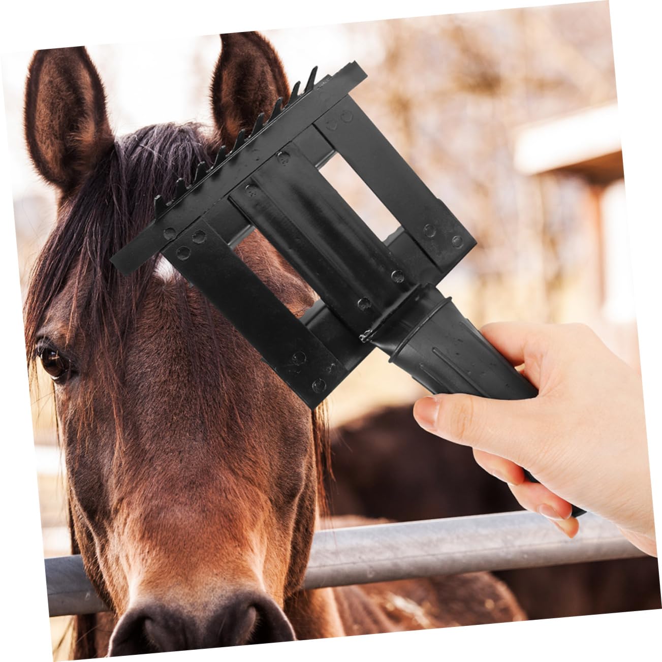 2piezas Cepillo Para Limpiar Pelo De Caballo Accesorio Limpieza Mango Ergonómico Práctico y Fácil De Usar