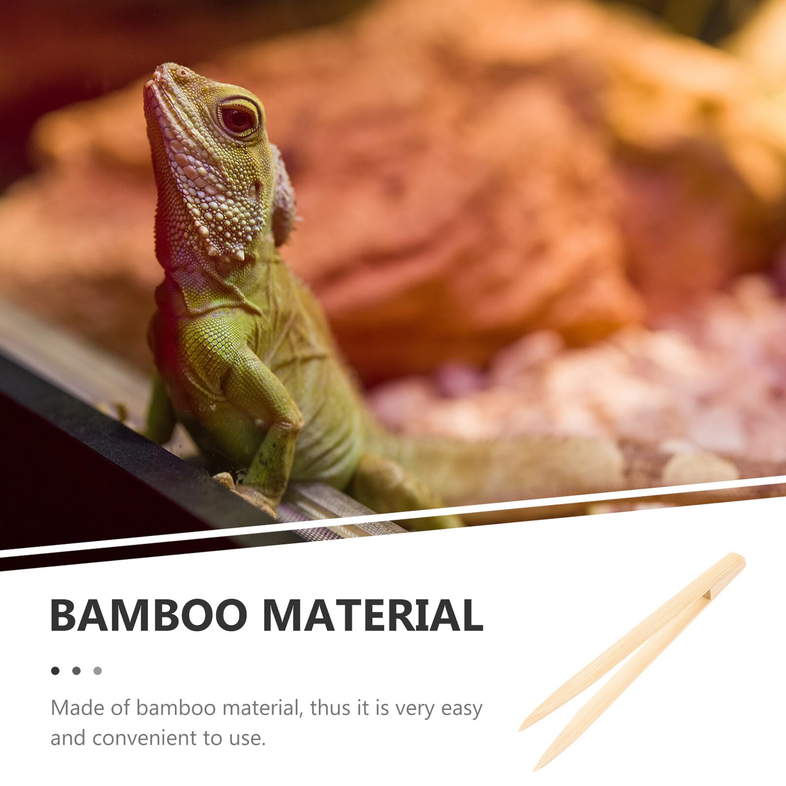 Pince Bambou pour Nourrir Reptiles Pince Nourrissage Sécurisée et Réutilisable pour Lézards Serpents et Tortues Outil Alimentation Écologique et Pratique