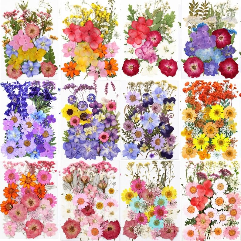 35 piezas flores secas prensadas para decoración y manualidades