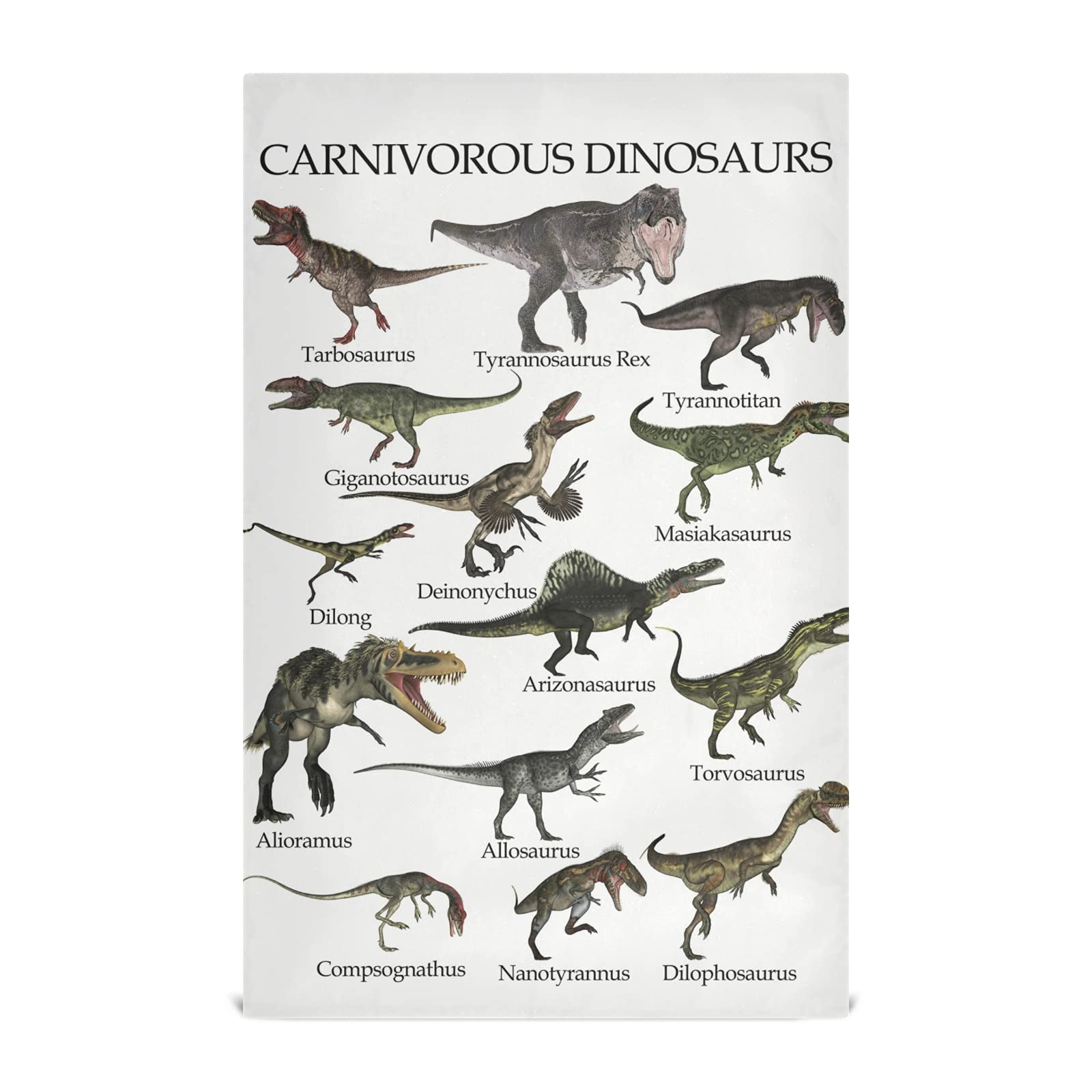 Poeticcity Carnivorous Dinosaurs Set Isolated on White Background 1 Pack Polyester Kitchen Dish Towel, Hand Bar Tea Towels with Hanging Loop, Hemmed NapkinTowel Dishtowels Waffle Dishcloths