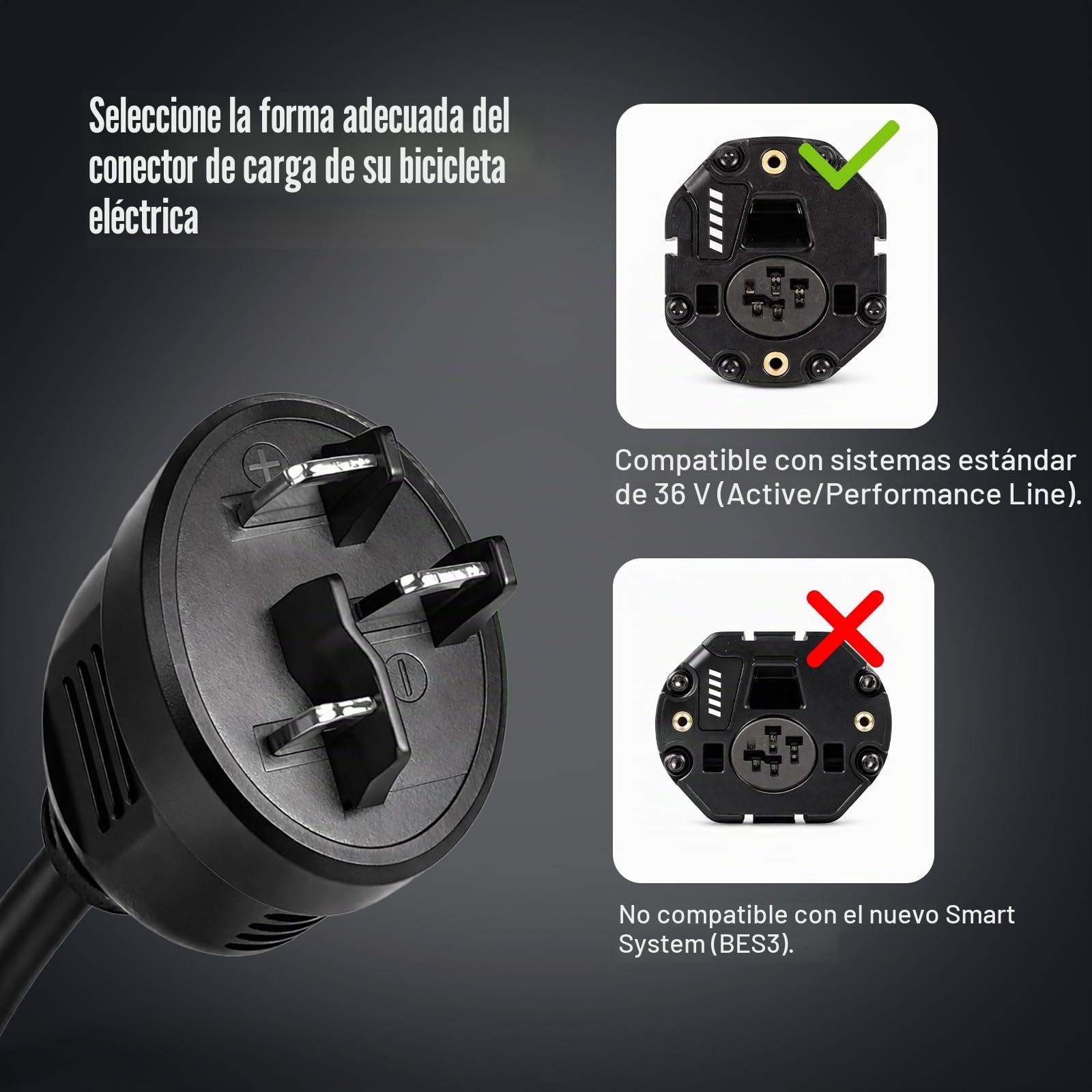 LEICKE 2A Cargador para 36V Baterías Bosch Performance y Active Line E-Bike/Pedelec Compatible Haibike Kalkhoff Bikes Alimentador para Ebike con Motor Bosch