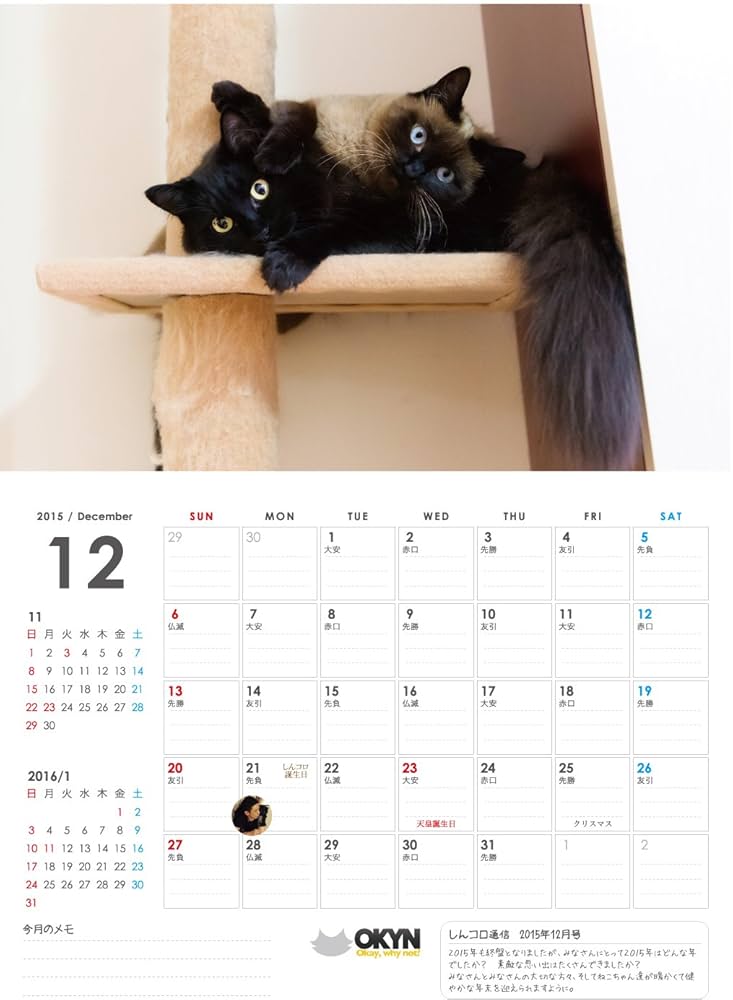 はるねこページ Amazon | QuizQuirk パズル かわいい猫 500ピース