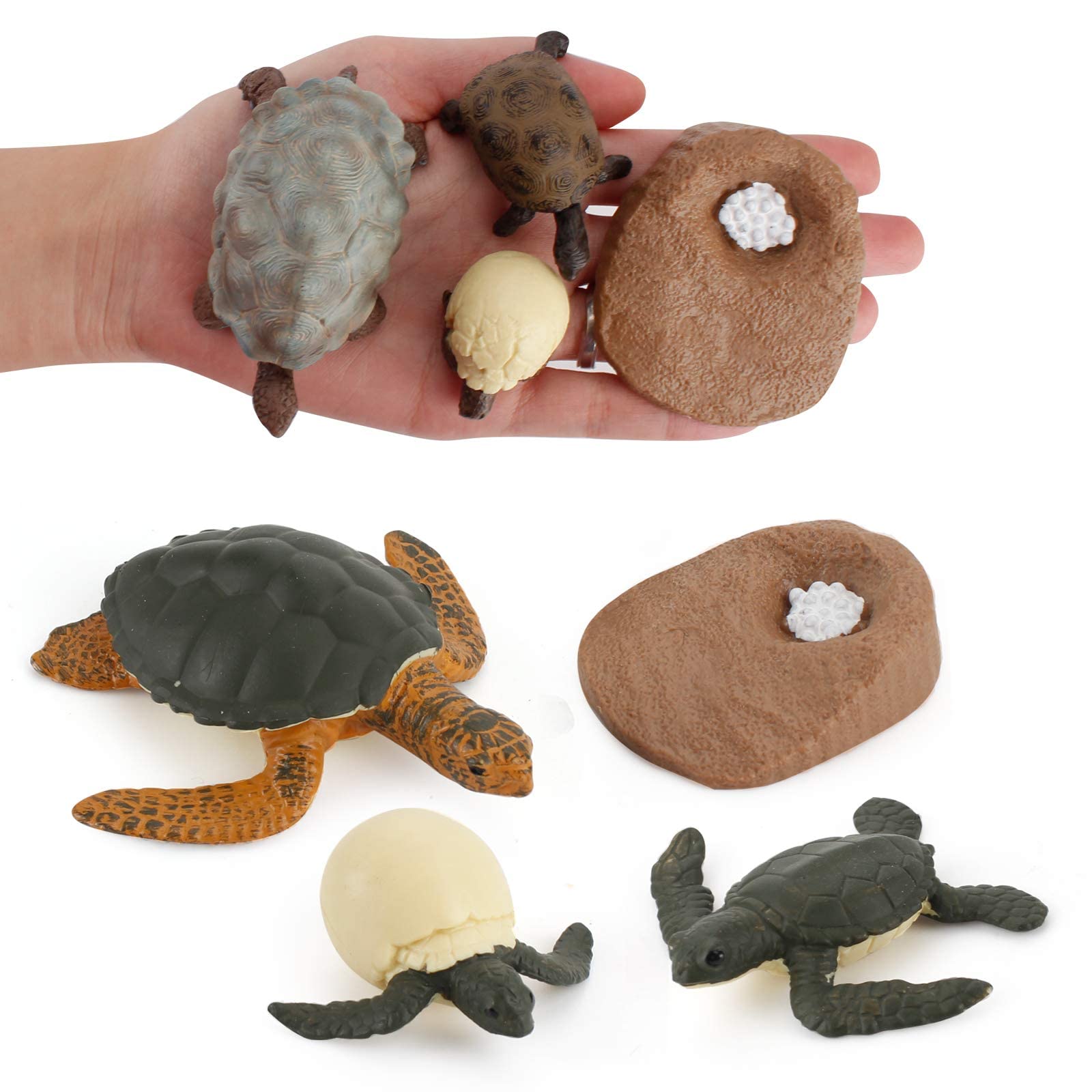 Amazon.co.jp: Fantarea ウミガメ 海 海 海洋動物モデル