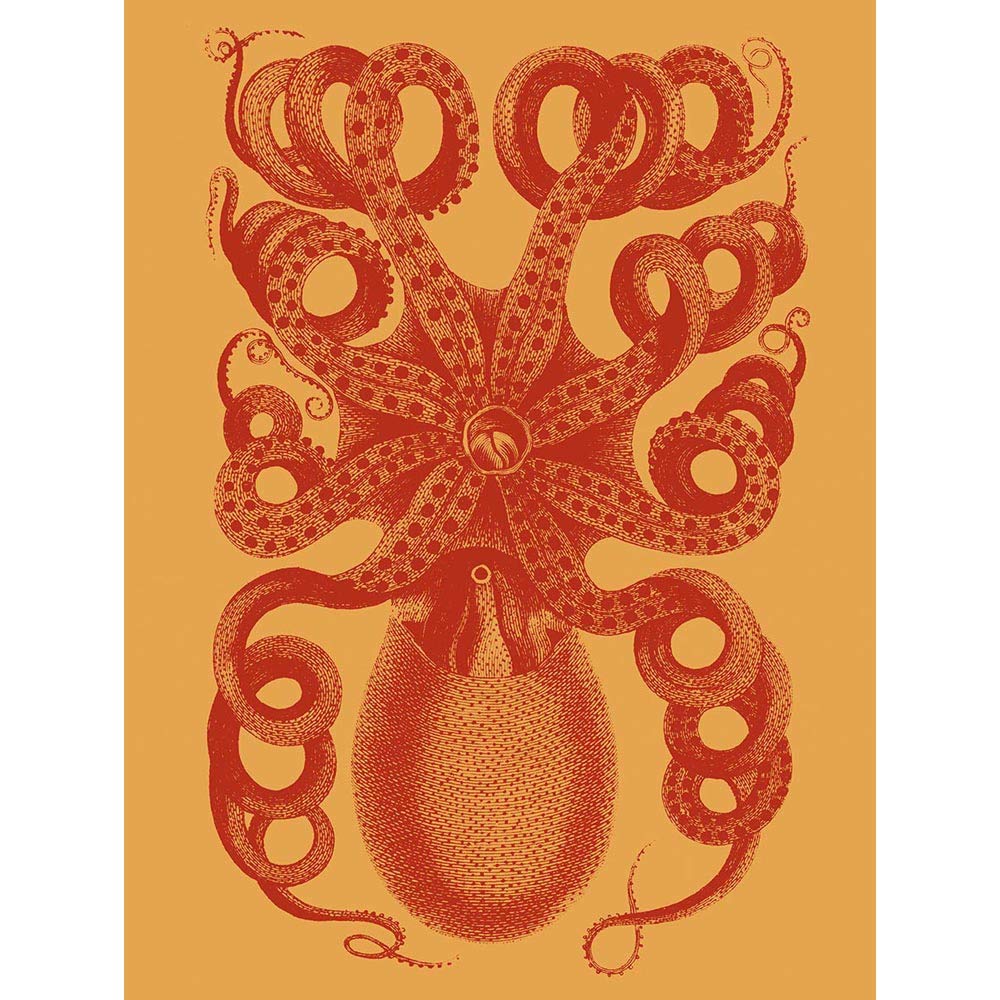 Wee Blue Coo Octopus Coral Yellow Art Print Poster Wall Decor 12X16 Inch