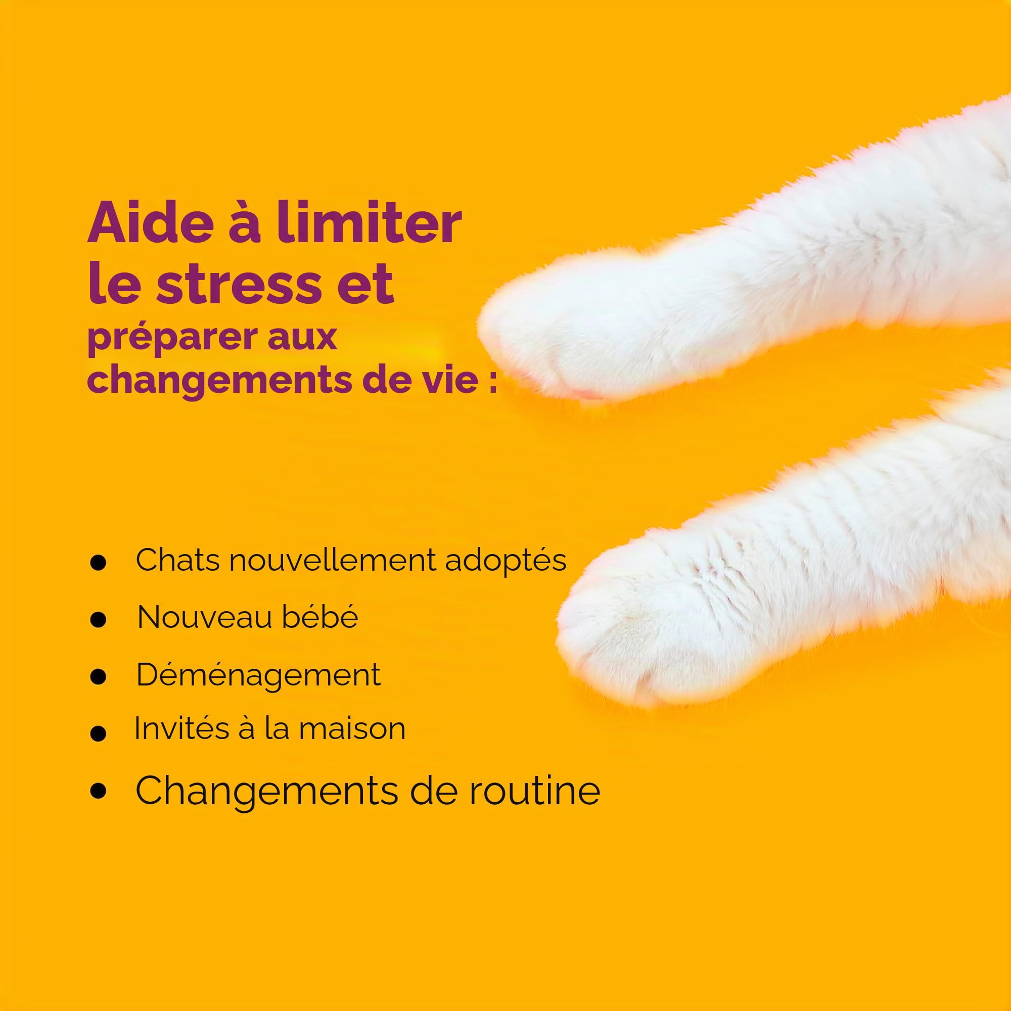 Comfort Zone Kit de démarrage diffuseur apaisant pour Chat : 1 diffuseur et Recharge, phéromones pour réduire Le Stress, la pulvérisation et Les griffures