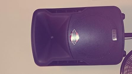 Amazon.com: Edison Professional St-3000 Multi-Function Loud Speaker and ...