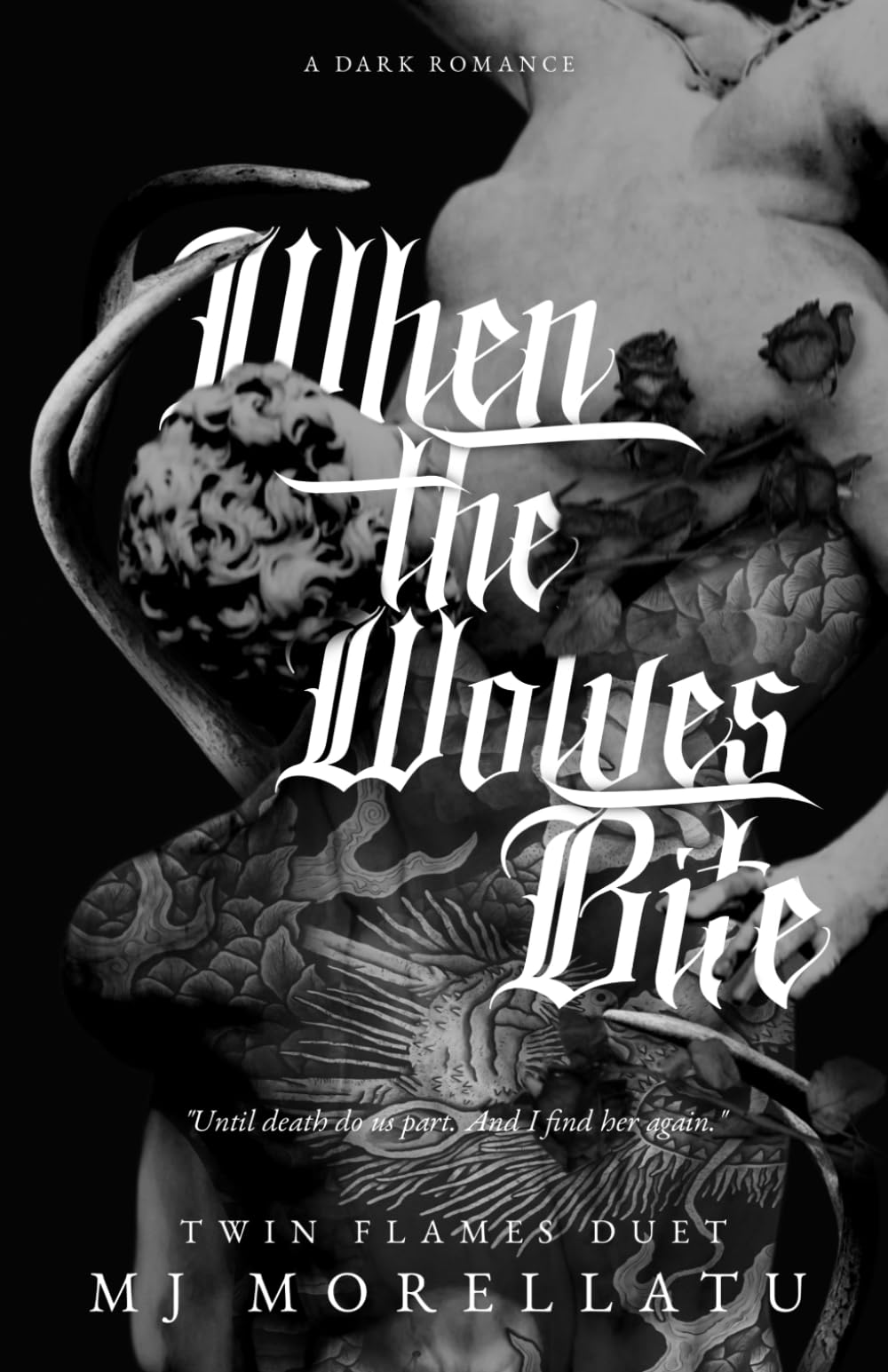 When the Wolves Bite (Twin Flames Duet Book Two)