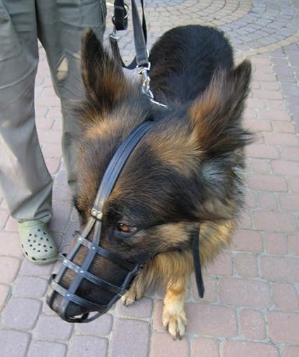 german shepherd muzzle amazon