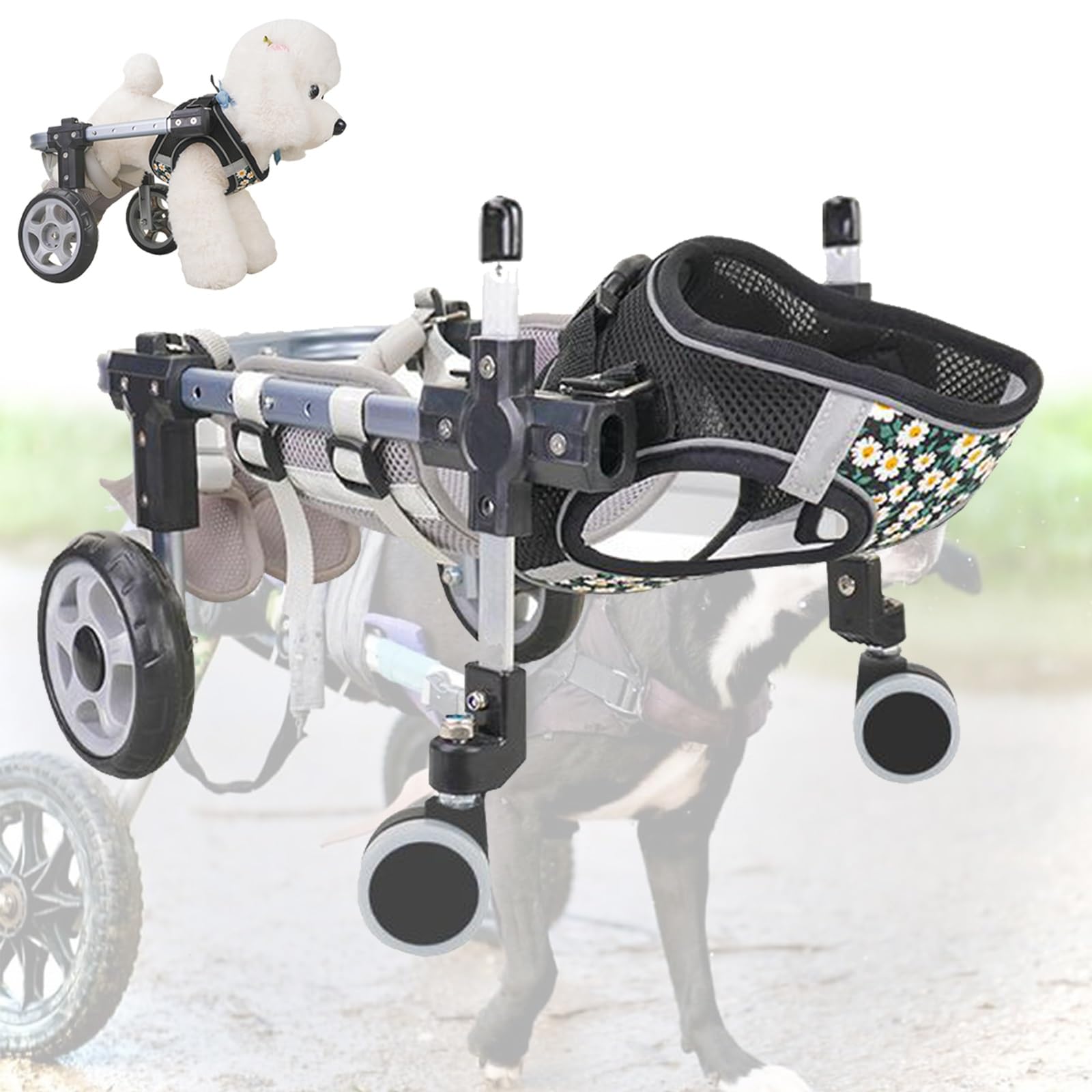 Fauteuil roulant pour chien à roues réglables pour redonner la joie de courir