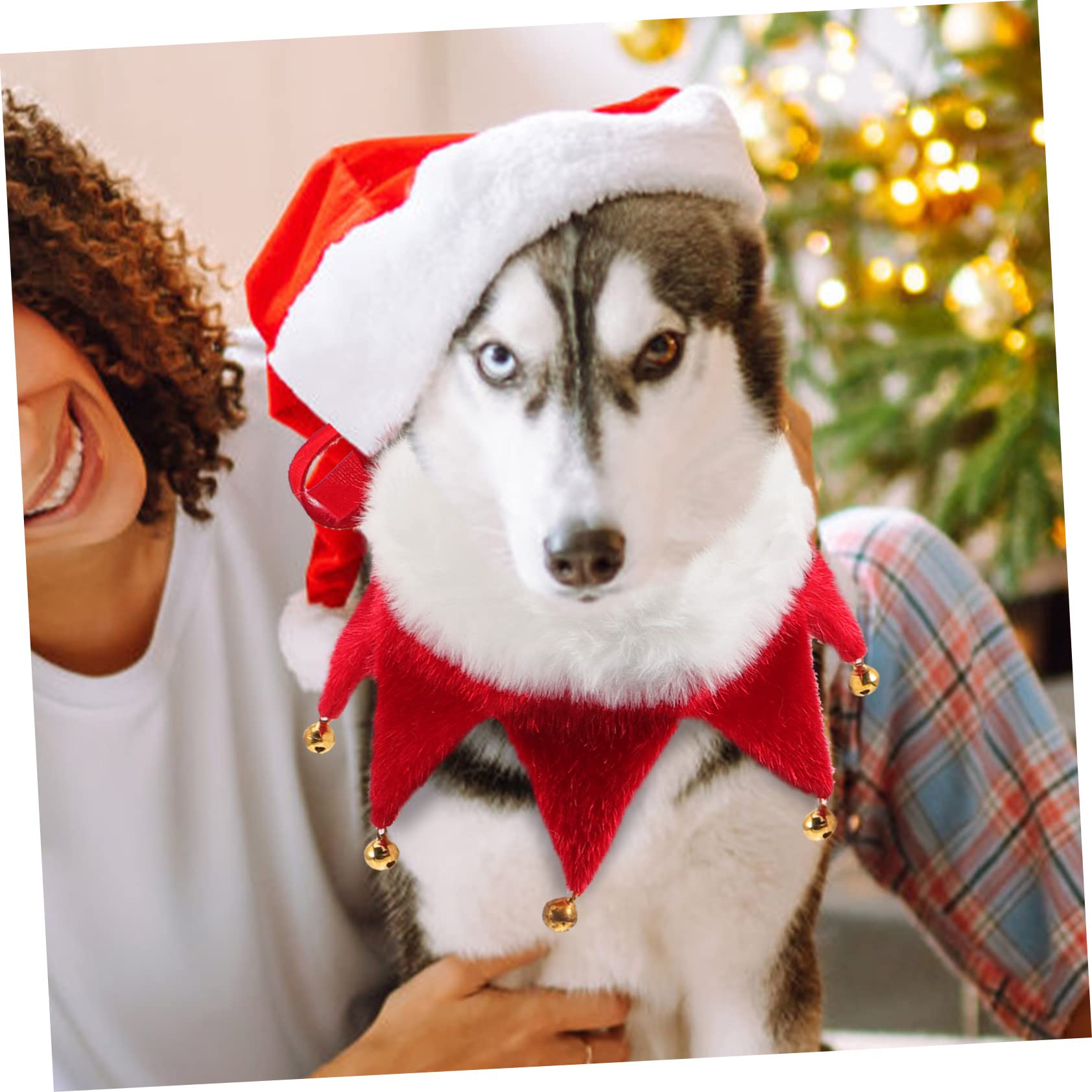 Toddmomy 5pièces Collier De pour Chien Et Chat avec Clochettes Accessoire De Fête pour Animaux De Compagnie Décoration Festive pour De pour Look Adorable Lors Photos Et Familiaux
