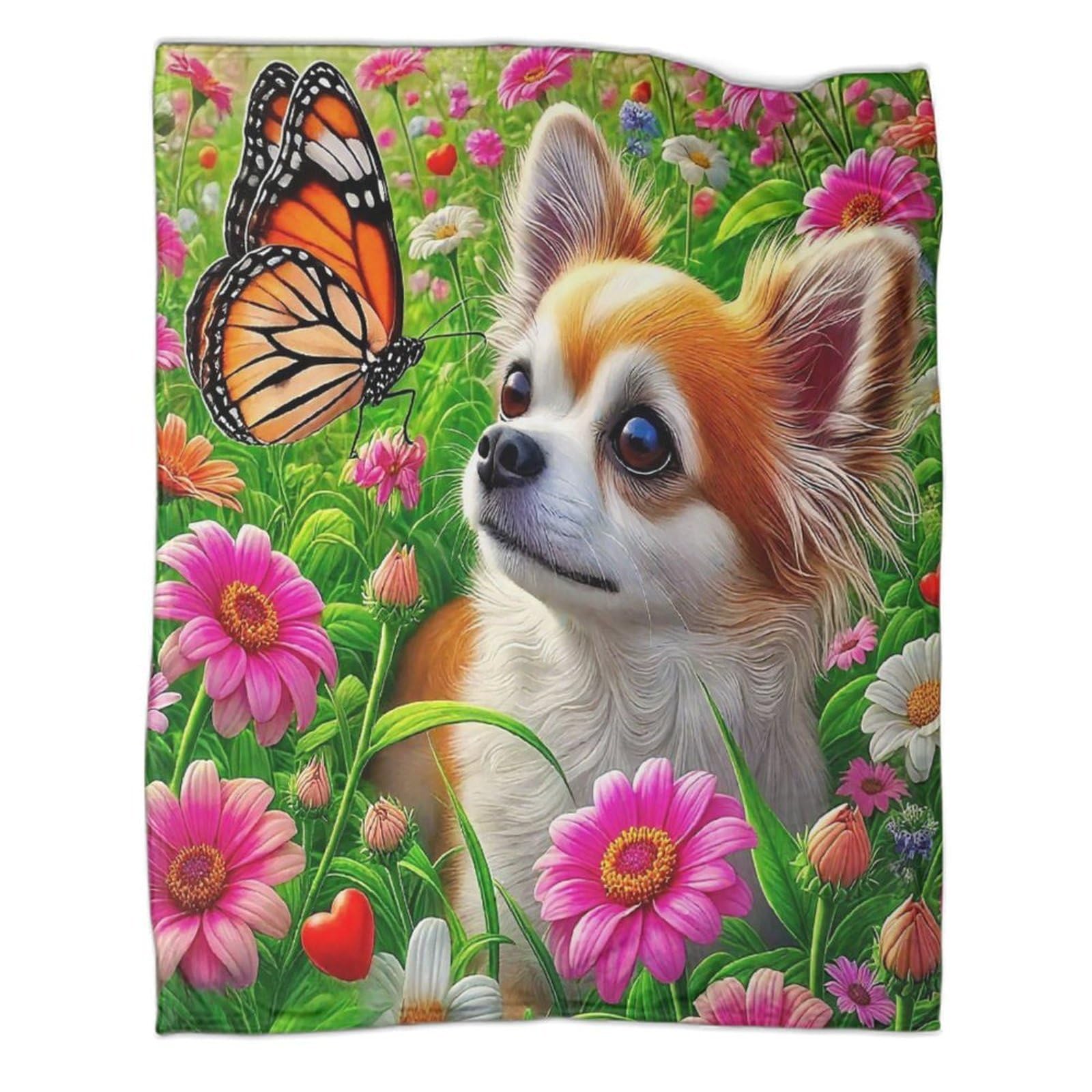 Couverture Chihuahua pour soirées cocooning en famille sur le canapé