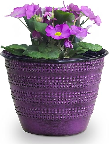 Headwind Glazed Ironstone Boutique Collection Maceta de Plantas Cobblestone  Maceta Color Ciruela de 6 Pulgadas para Plantas de Interior  Macetas