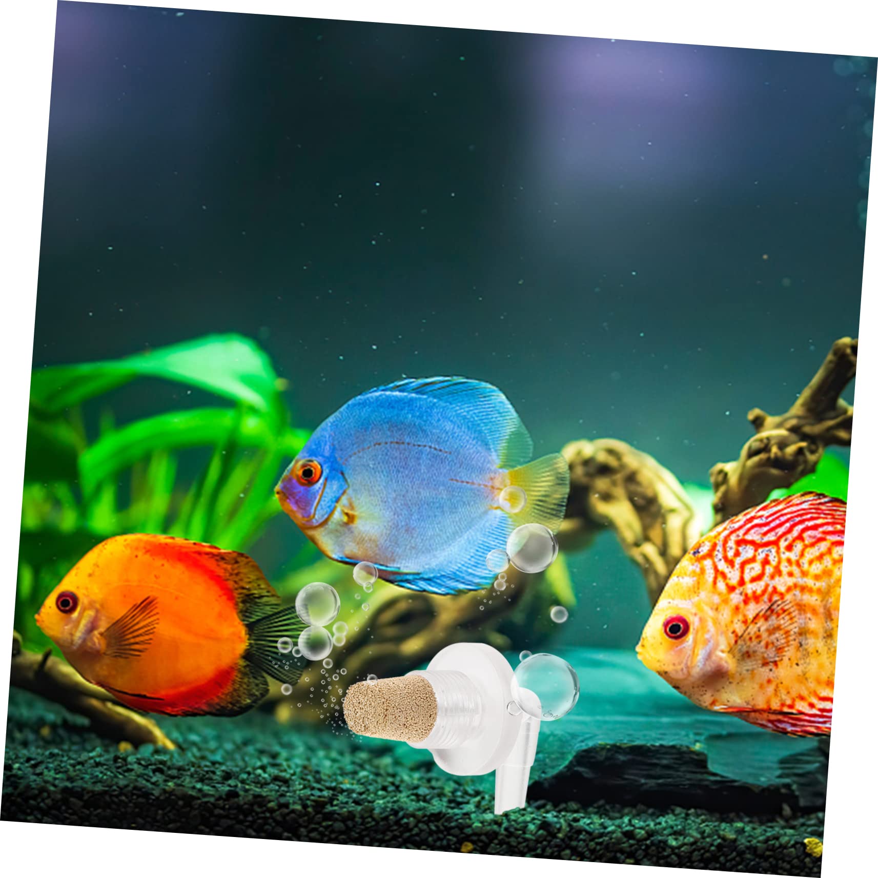 Toddmomy Adornos Metálicos 30 Piezas de oxigeno de Estanque Accesorios para de Aire de Acuario difusor de Aire pecera difusor para Acuario difusor de oxigeno sha- Codo Decoración Metálica