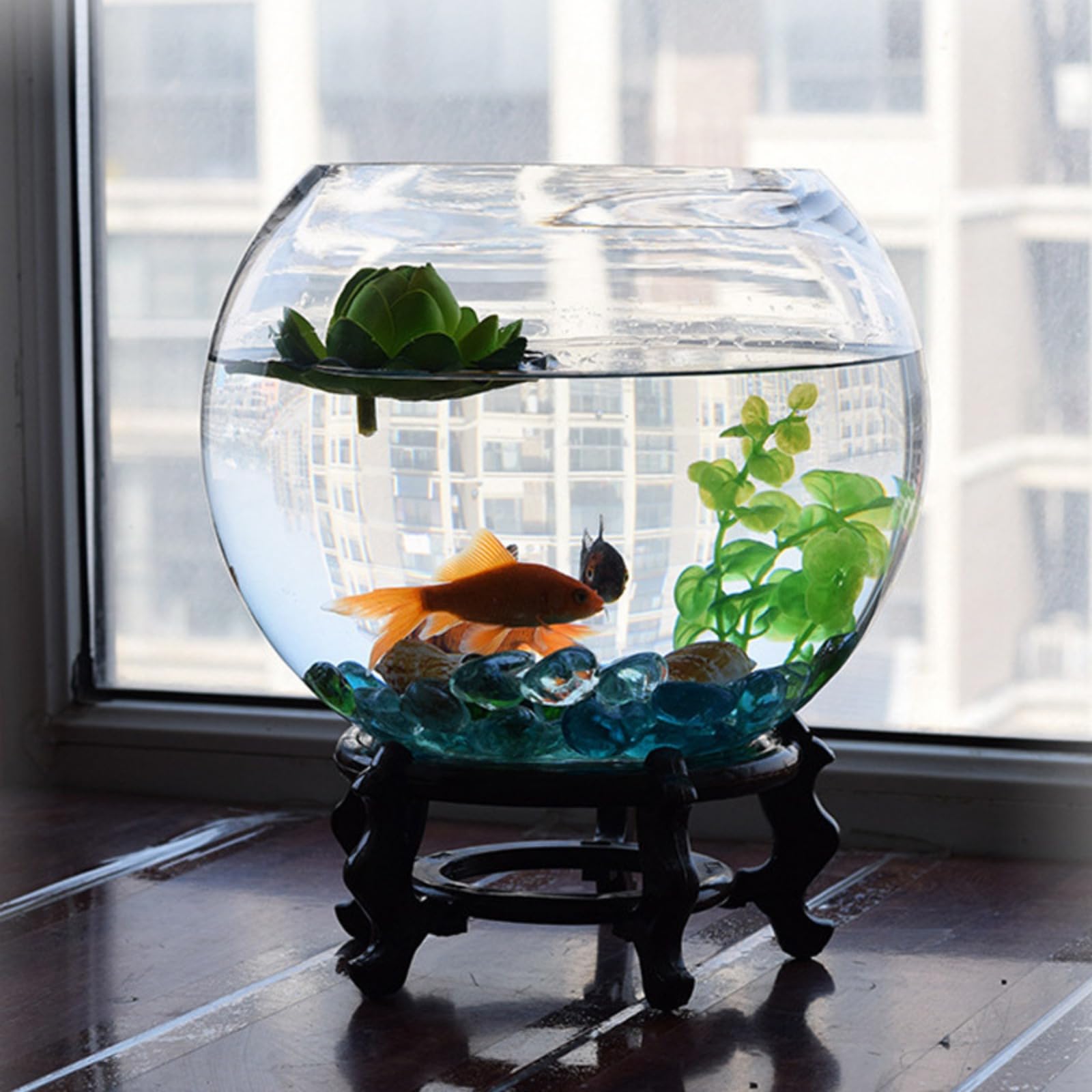 Amazon | jshigogo 金魚鉢 水槽 アクアリウム 丸型金魚鉢 テラリウム