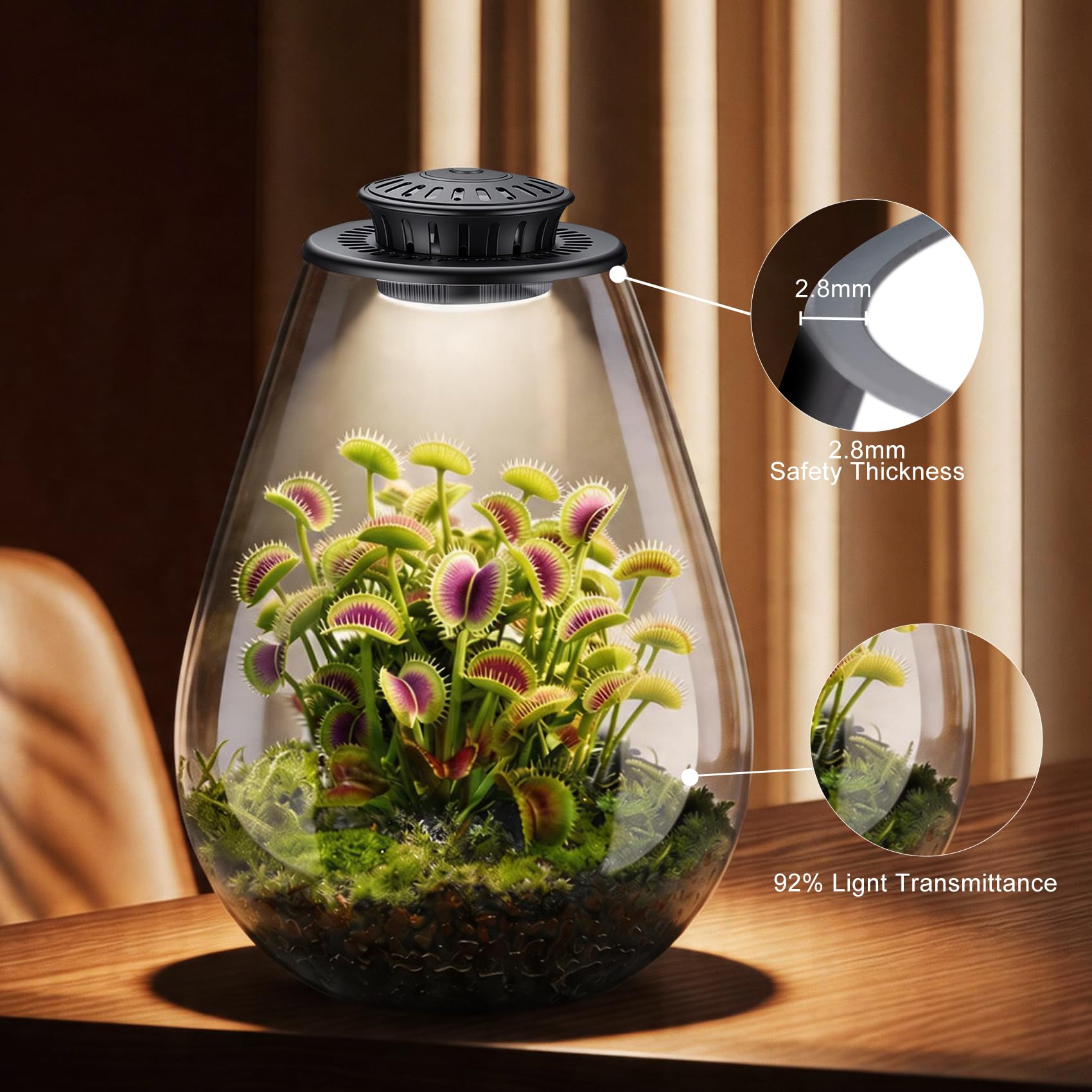 Amazon.com: Xyingshine Glass Plant Terrarium with LED Grow Light