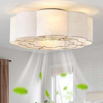 20" Low Profile Ceiling Fan with Light, Caged Flush Mount Ceiling Fan with Light Remote Control, Boho Bladeless with 6 Speeds for Bedroom, Nursery, Living Room.